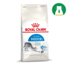 Hạt Royal Canin Indoor 2kg