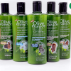 Sữa tắm cho chó mèo Olive Essence dầu tắm thú cưng Từ thiên nhiên