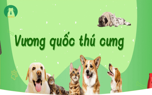 Kokopet – Thương Hiệu Chăm Sóc Thú Cưng Uy Tín Và Chất Lượng