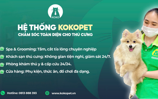 Kokopet – Thương Hiệu Chăm Sóc Thú Cưng Uy Tín Và Chất Lượng