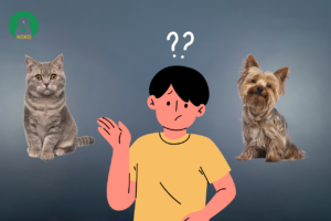 Chó Hay Mèo Là Số 1? Cách Chọn Thú Cưng Phù Hợp Với Bạn