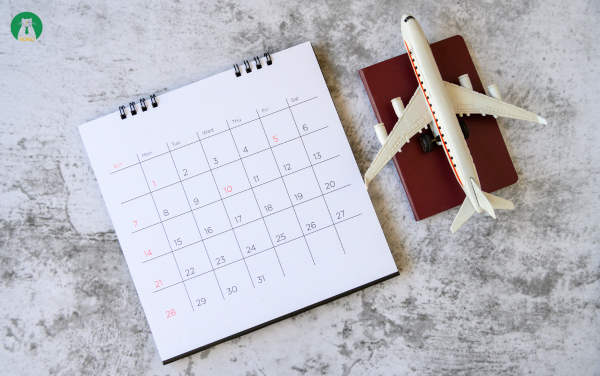 Tạo lịch trình vệ sinh rõ ràng