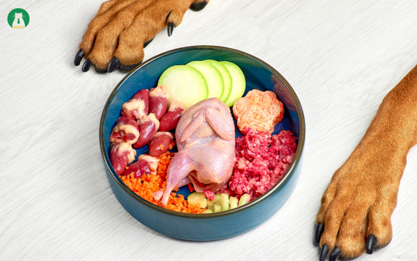 Các Thực Phẩm Giàu Canxi Dành Cho Chó