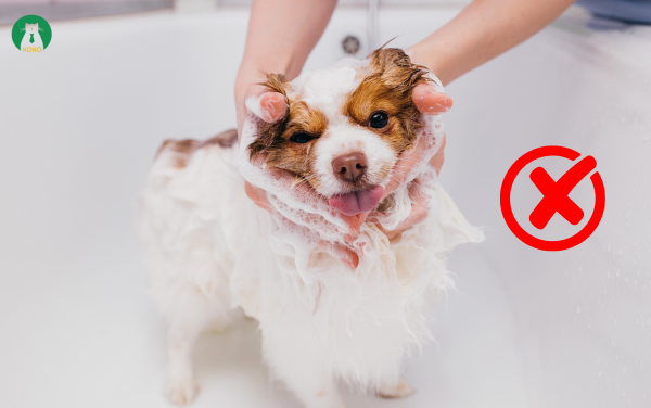 Không tắm ngay sau khi tiêm – Bảo vệ hệ miễn dịch còn non yếu sau tiêm phòng