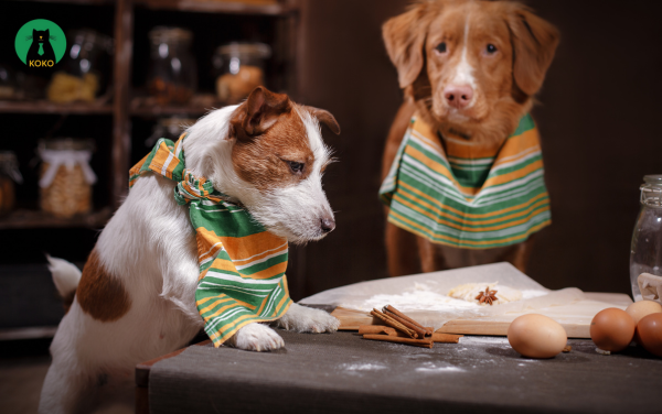 Chế độ ăn uống không hợp lý