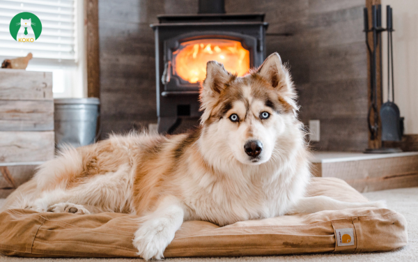 Thiếu vận động