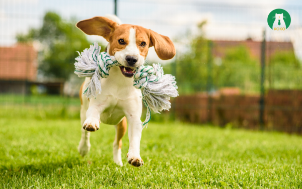 Duy Trì Vận Động Nhẹ Nhàng, Phù Hợp