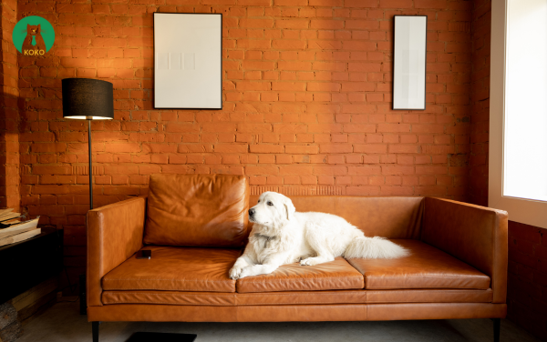  Không Gian Tinh Thần – Góc Yêu Thương Cho Tuổi Già