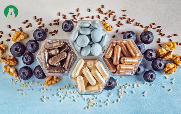 Thực Phẩm Tăng Cường Sức Đề Kháng – Bí Quyết Trị Rận Cho Mèo Từ Bên Trong