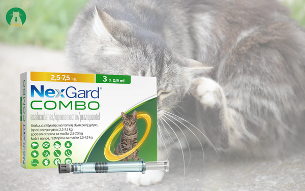 NexGard Combo – Dạng nhỏ gáy mới cho mèo